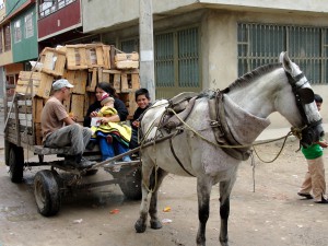 naar-school-met-paard-en-wagen